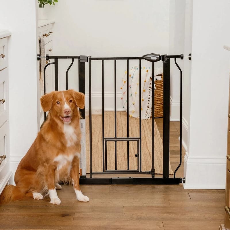 Carlson Extra Wide Walk-Through Pet and Baby Gate
