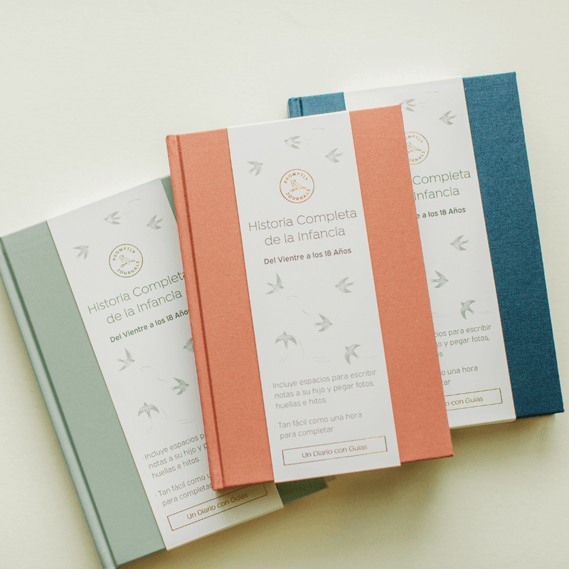 Promptly Journals Childhood History Journal