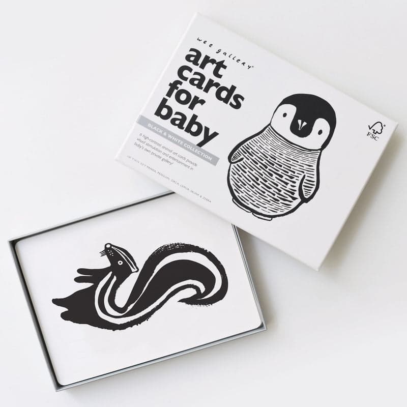 Wee Gallery High-Contrast Art Cards